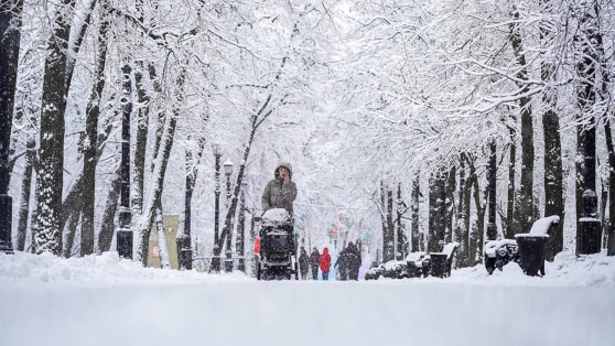    В Москве и области объявили "оранжевый" уровень погодной опасности Ирина Петрова