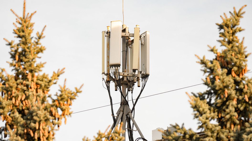    © Ruslan Yarotsky URA.RU/Globallookpress