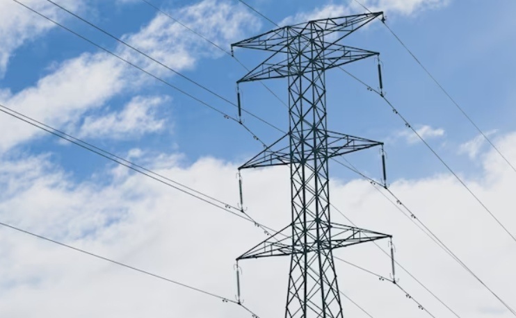    Фото: ru.freepik.com Екатерина Шахнина