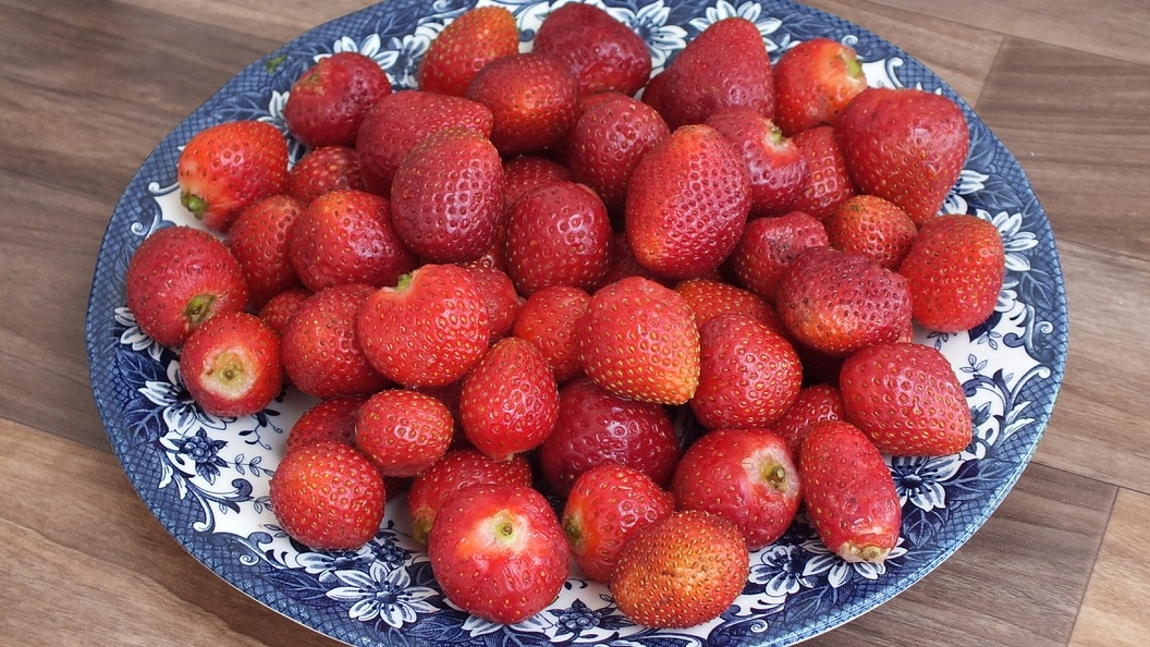    Фото: Victor Lisitsyn/Global Look Press