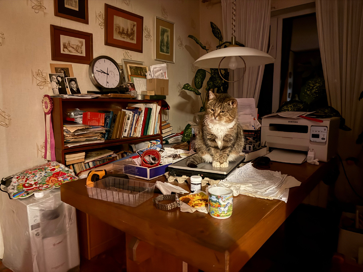 Фото автора