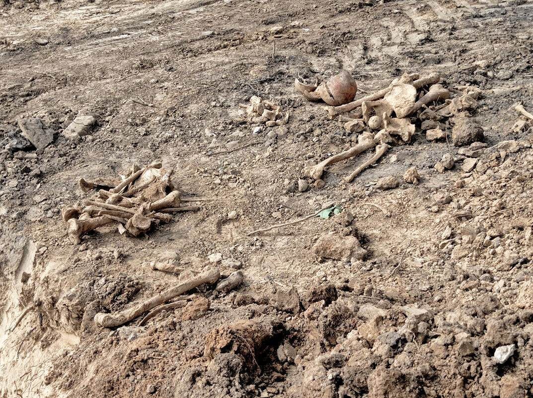    В центре Минска обнаружены останки человека