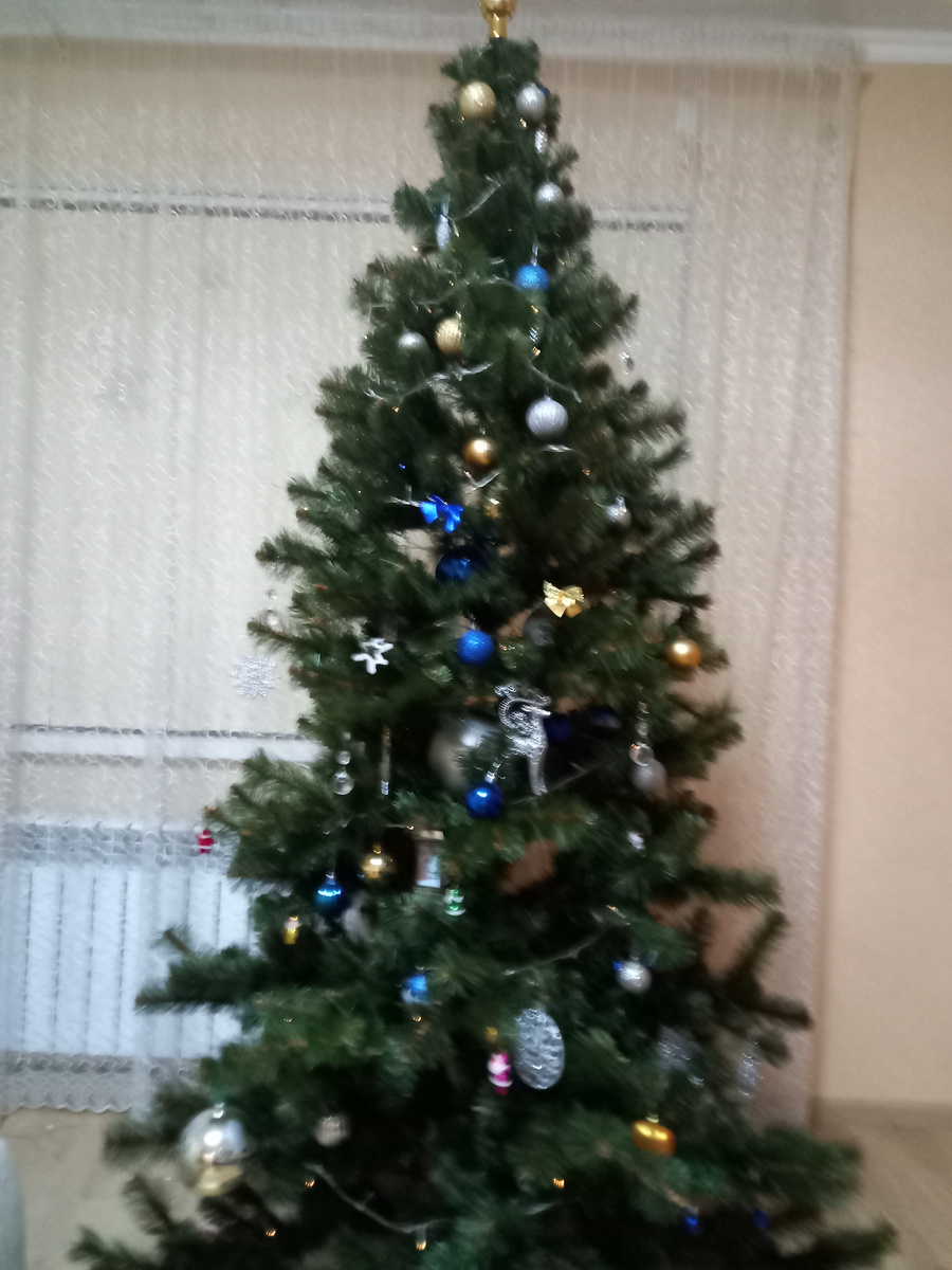 Ёлка стоит с 13 октябрч