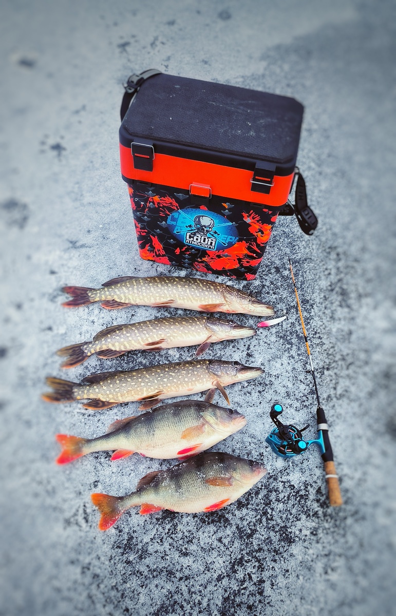 Дедушка Мороз меня не обидел. 