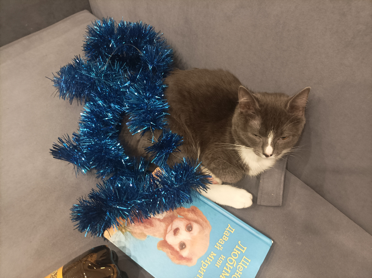 Подглядывает))) 