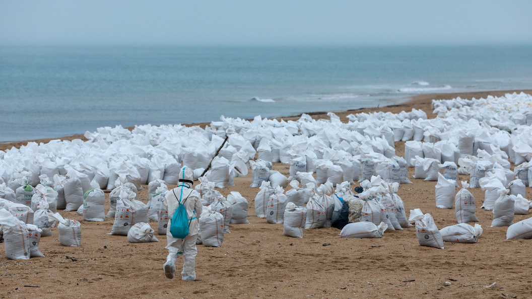    Фото: Belkin Alexey/news.ru/Globallookpress