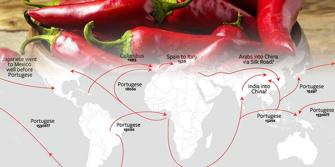 Огненная история перца чили, ягоды, которая покорила мир