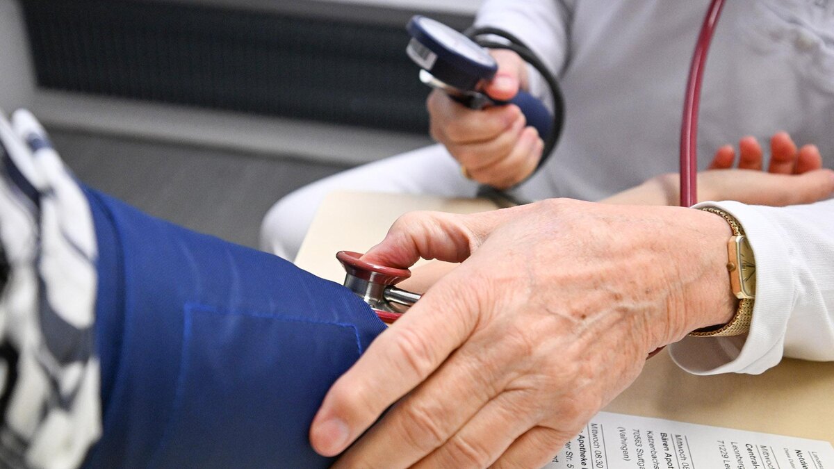    Фото: Bernd WeiÃŸbrod/globallookpress.com