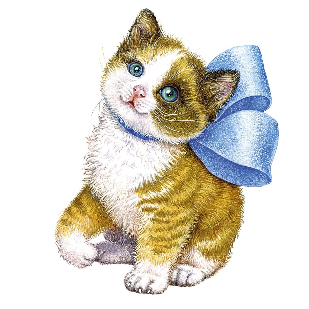 из открытых источников