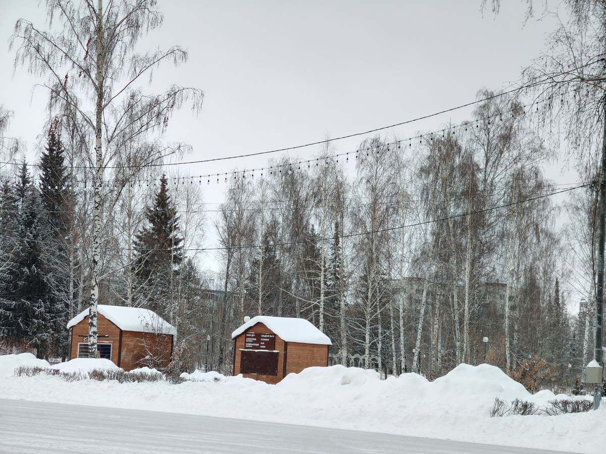 С утра было облачно, а к обеду выглянуло солнце ненадолго 