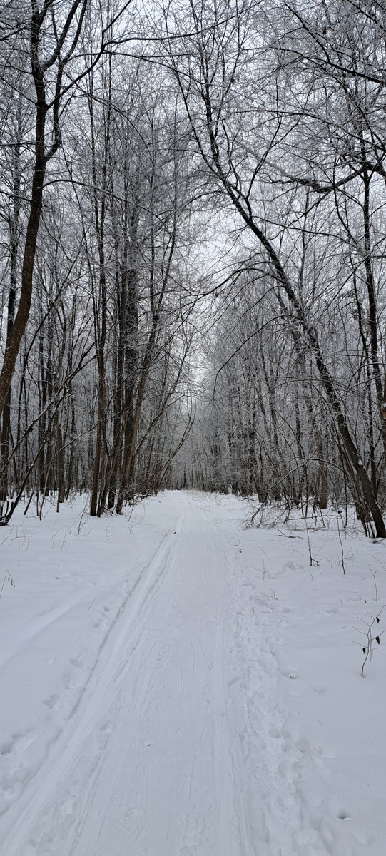 Лыжи - моё любимое зимнее увлечение