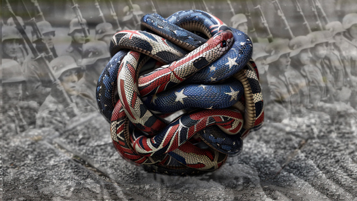    Фото: коллаж Царьграда