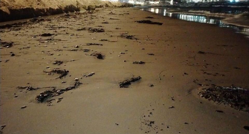    Официальный канал мэрии города-курорта Анапа / Telegram