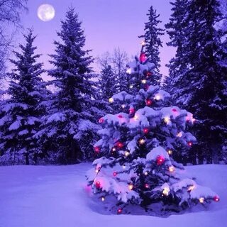 Из источников интернета