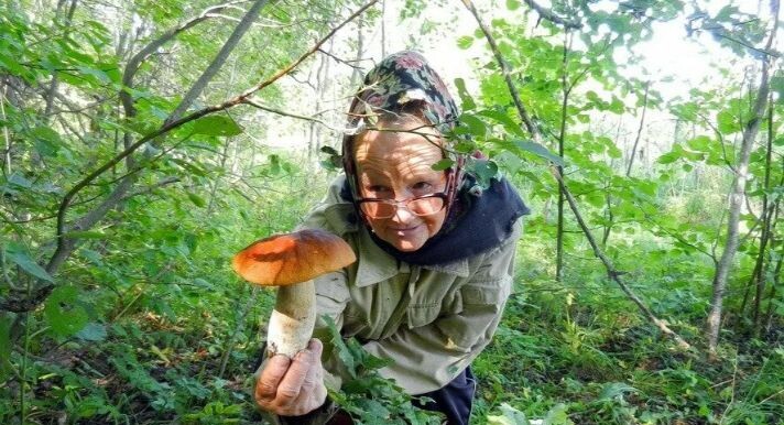 как то так. Из соцсетей открытого доступа.