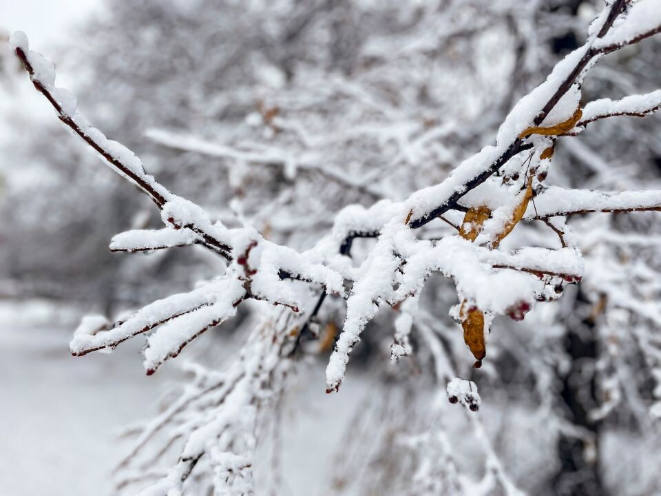    Снег в Барнауле, погода. Источник: Виталий Барабаш
