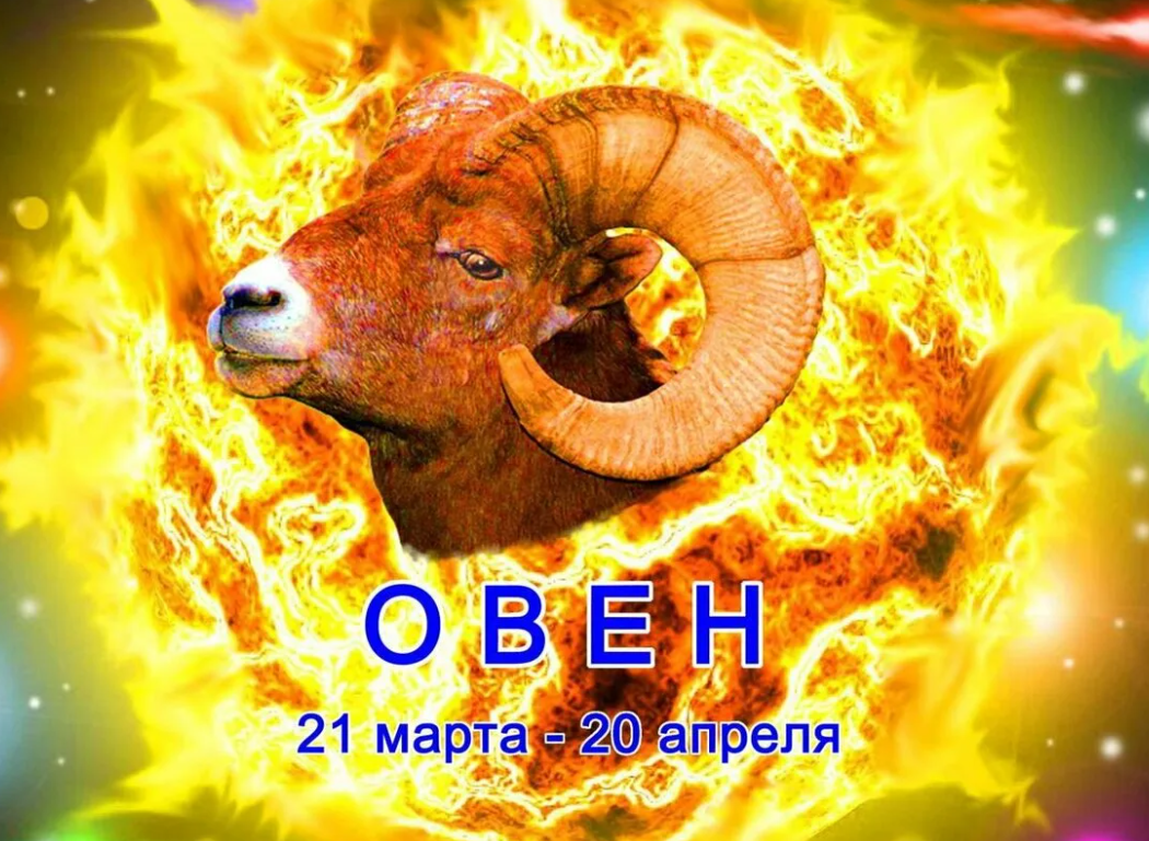 Яндекс картинки