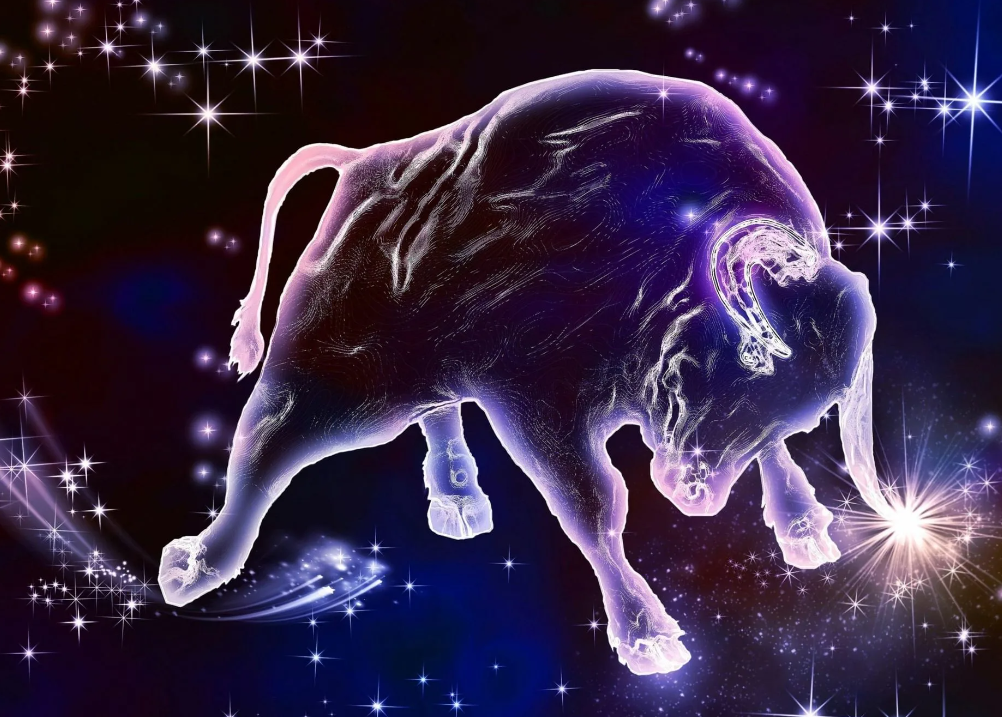 Яндекс картинки