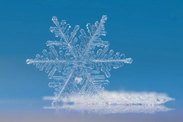    Сколько весит снежинка?