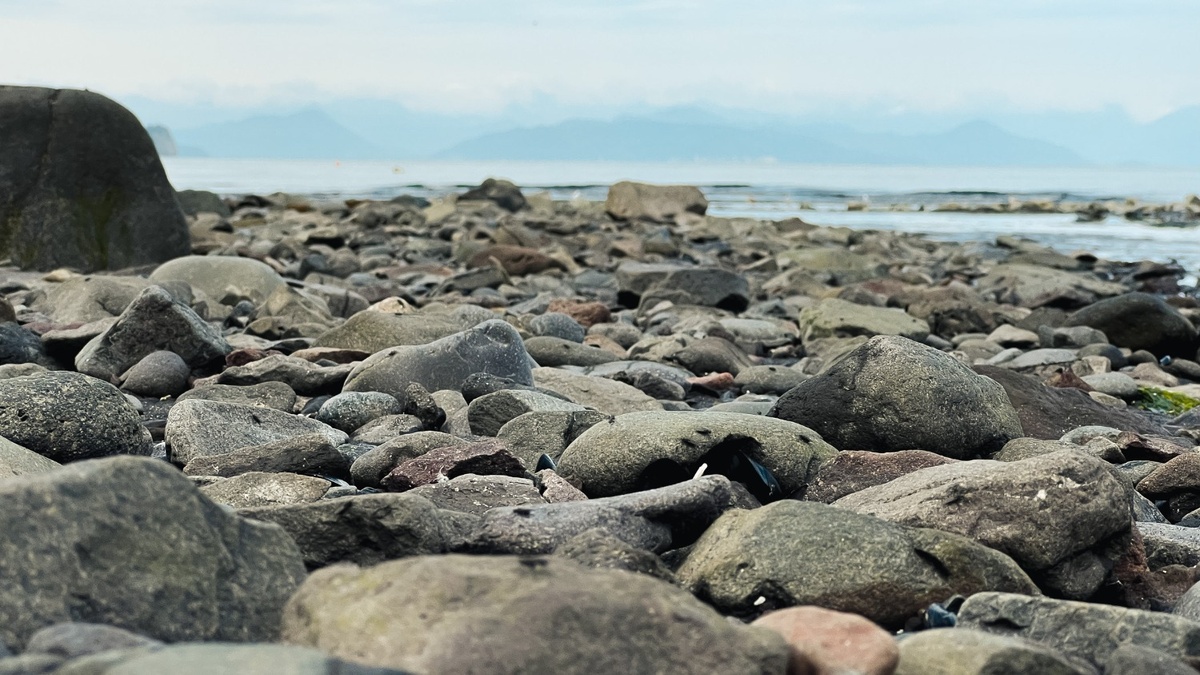     Источник: 1MI