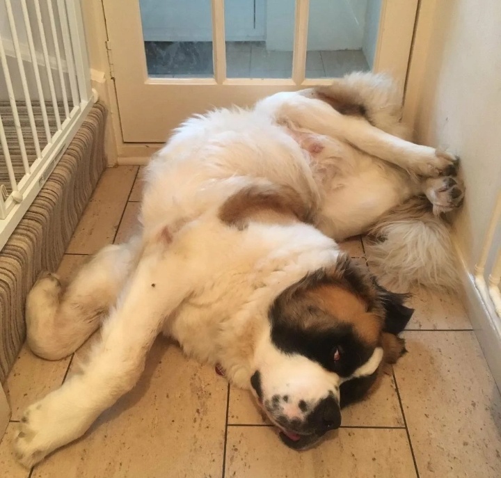 Я. Февраль 2025 года.