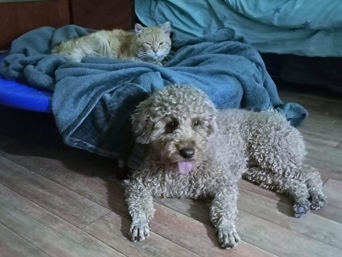 Мои научные сотрудники обдумывают задачу.