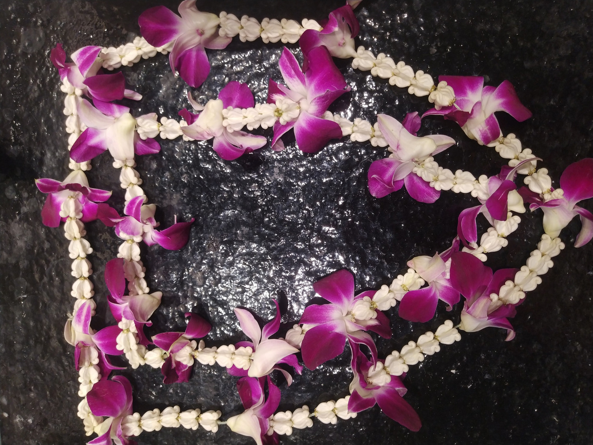 В канун Нового Года 2025 на Пхукете у нас в отеле раздавали цветочные ожерелья