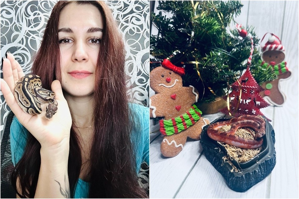    Для Дарьи Андреевой змеи – самые любимые животные. Фото: предоставлено «Комсомолке».