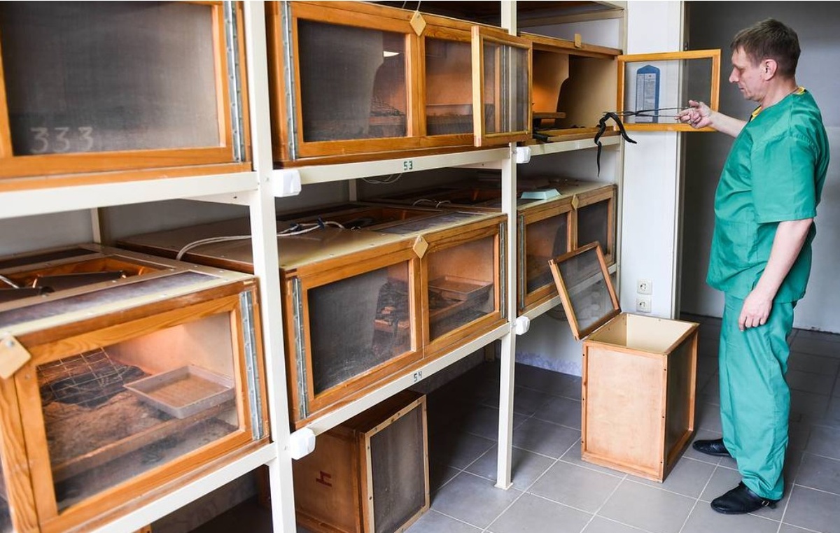 Новосибирский серпентарий, фото  Кирилл Кухмарь/ТАСС