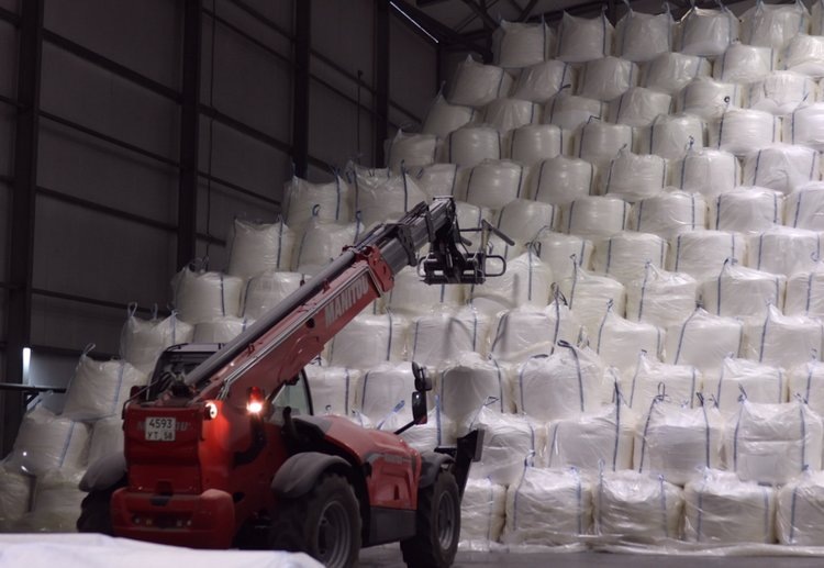    Пензенская область поставила исторический сахарный рекорд в 2024 году