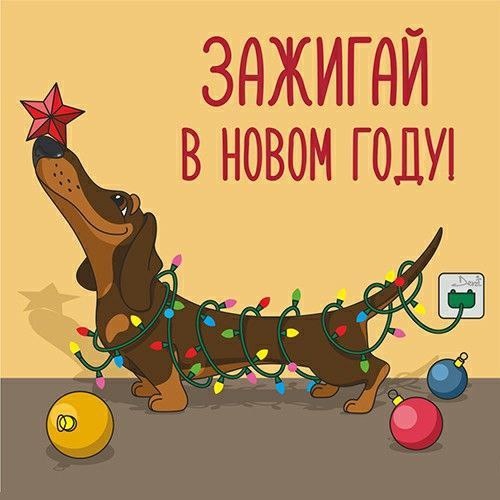 Скопировано из сети интернет