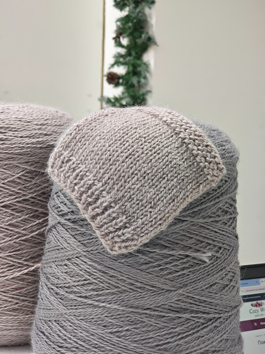 Фото студии Cozy