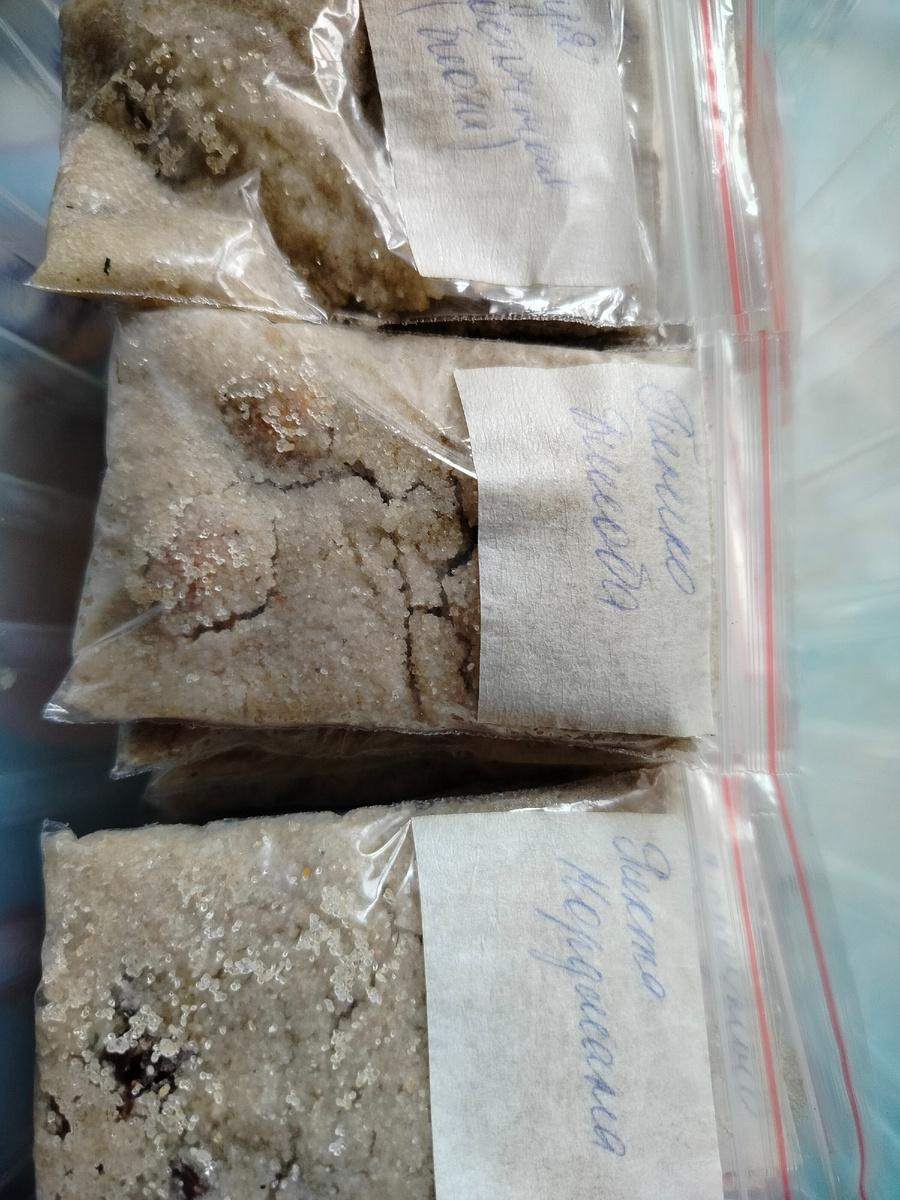 Фото автора.