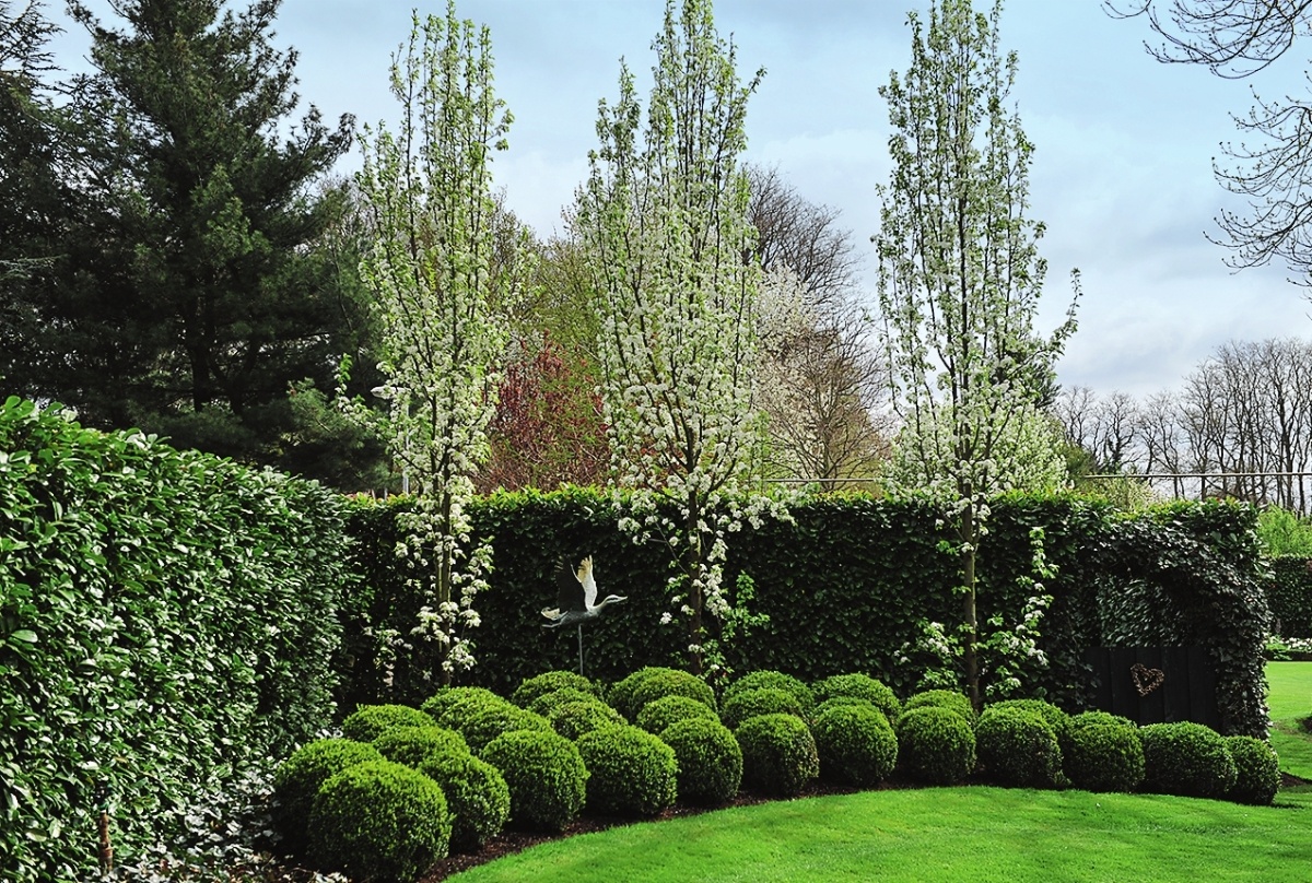    Вертикальные акценты, как знаки восклицания, выделяют для нас все самое интересное