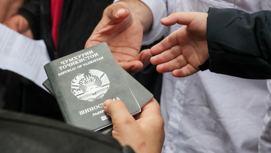    Срок временного пребывания иностранцев в России без визы сократили вдвое Алина Городниченко