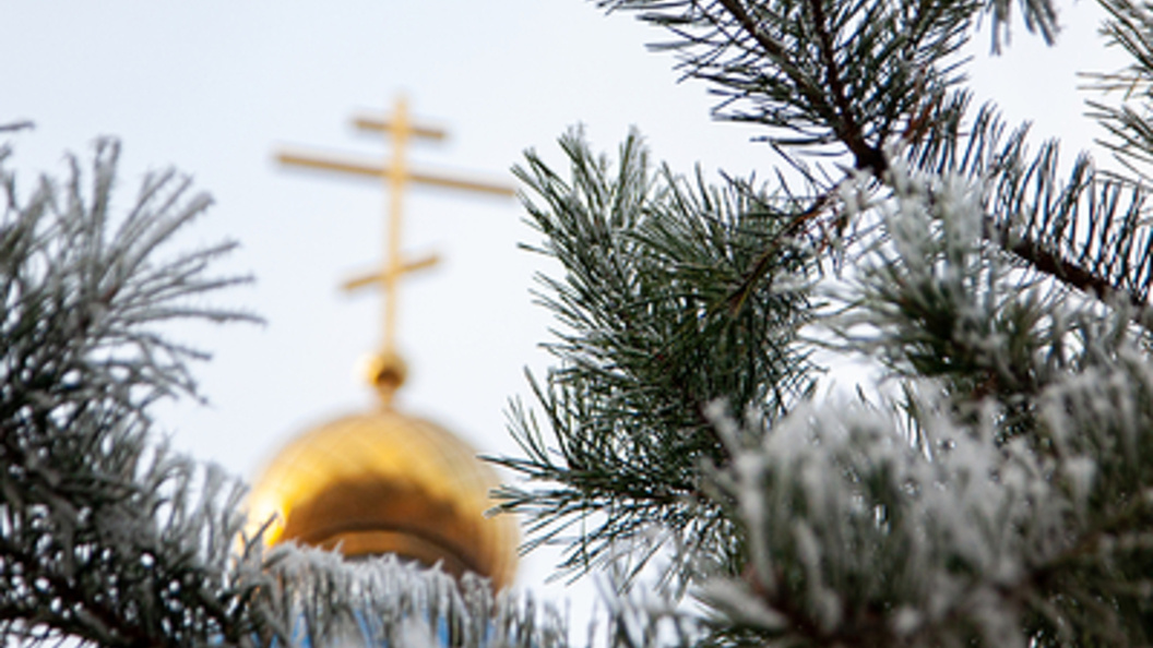    Фото: Oksana Korol/globallookpress