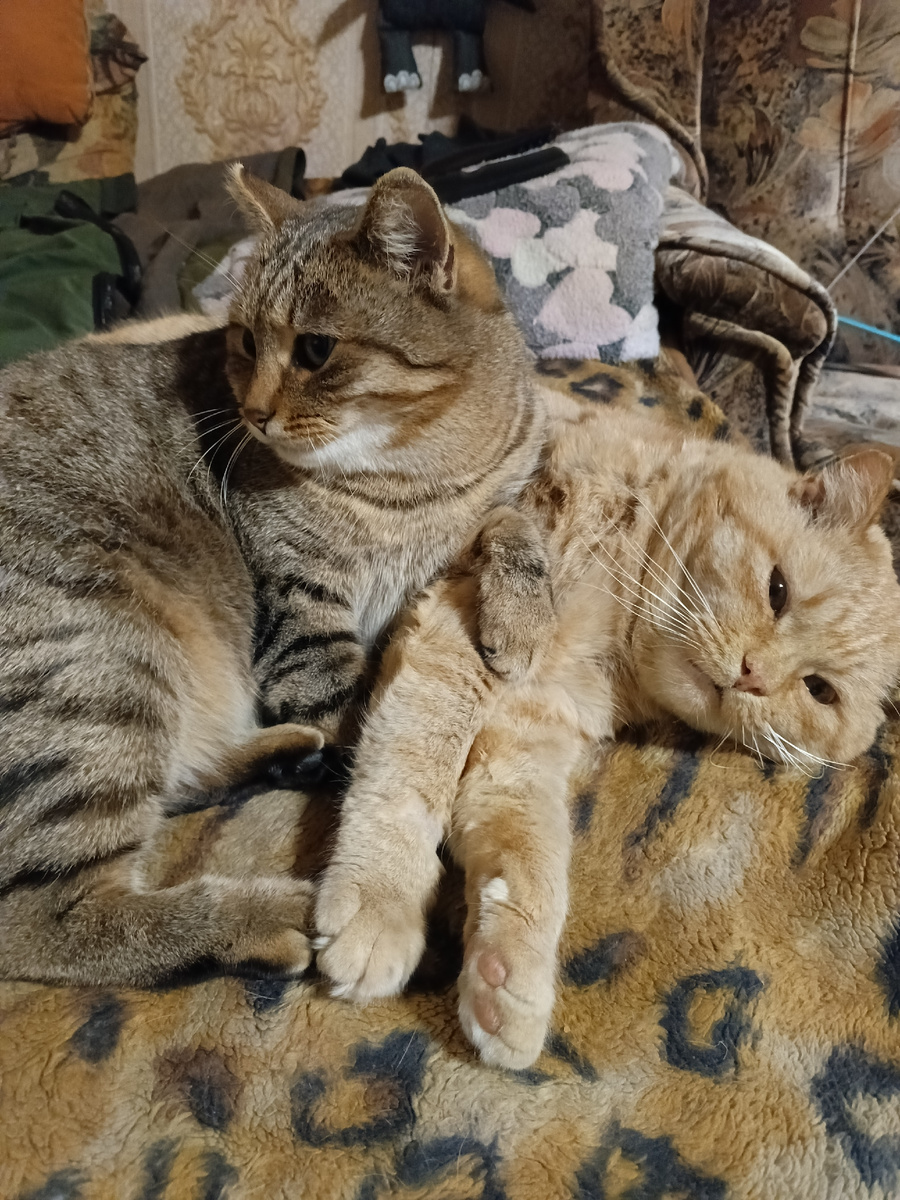 Фото автора