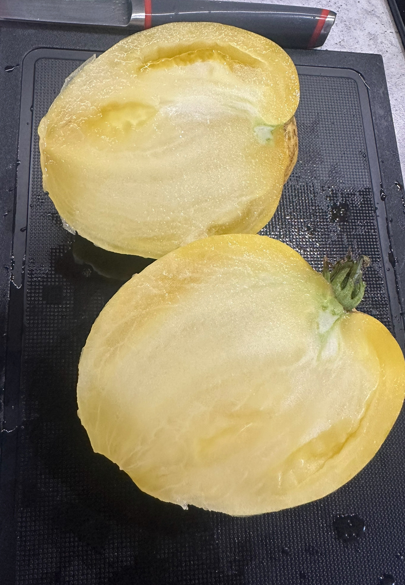 Белое сердце Киля