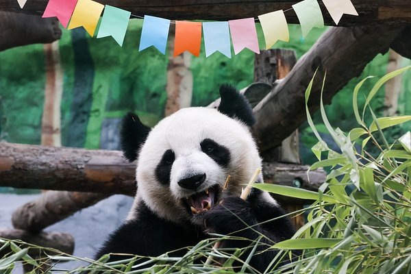 Фото: Сергей Карпухин / ТАСС