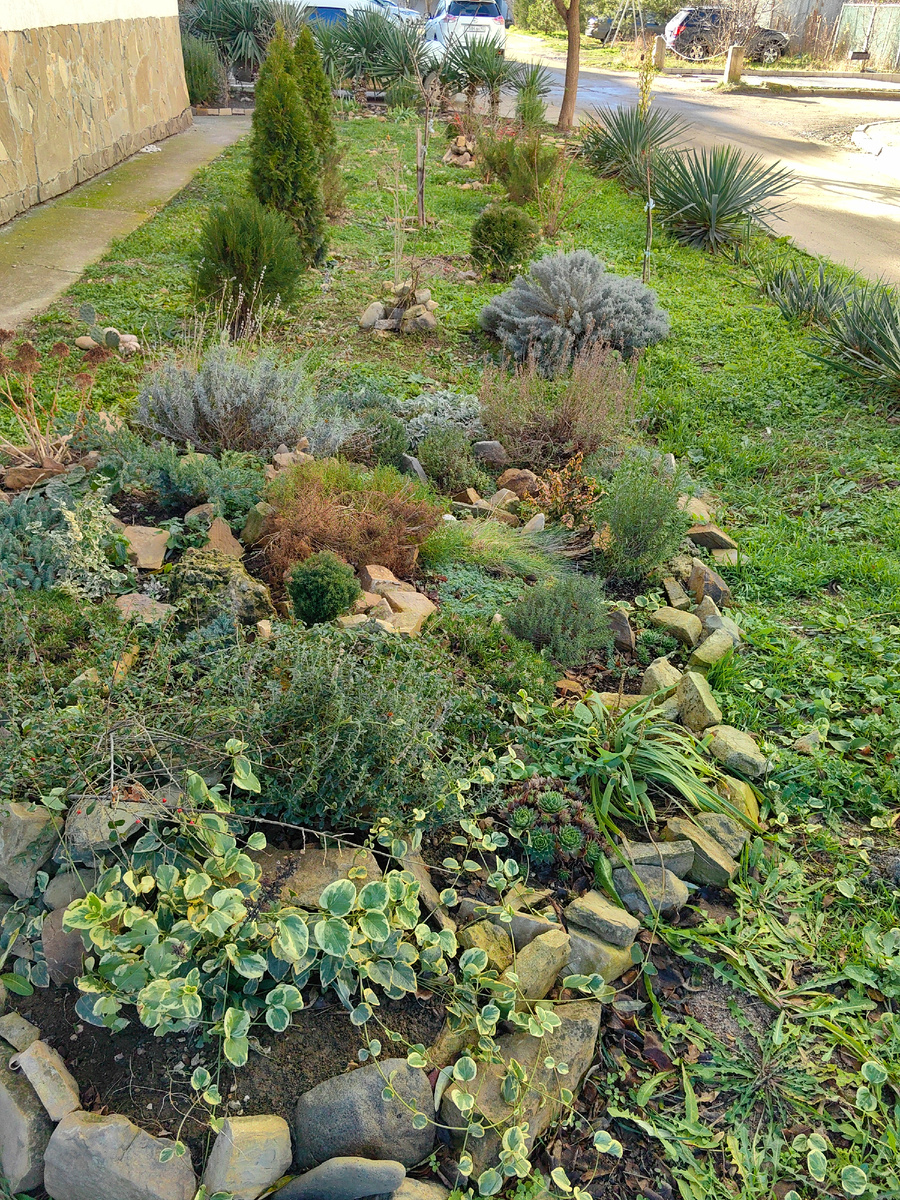 Сегодня. Фото автора канала