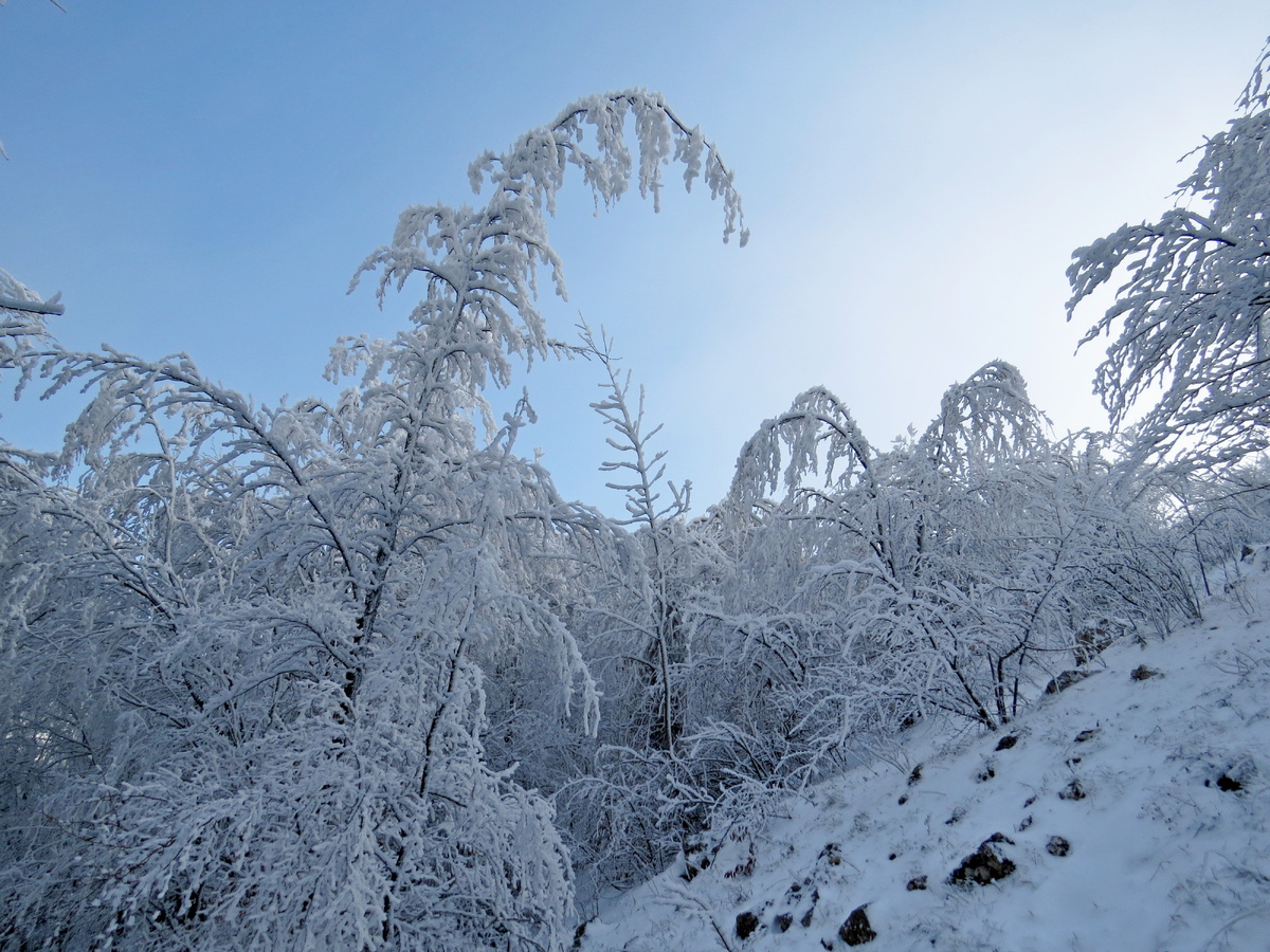 Листайте галерею