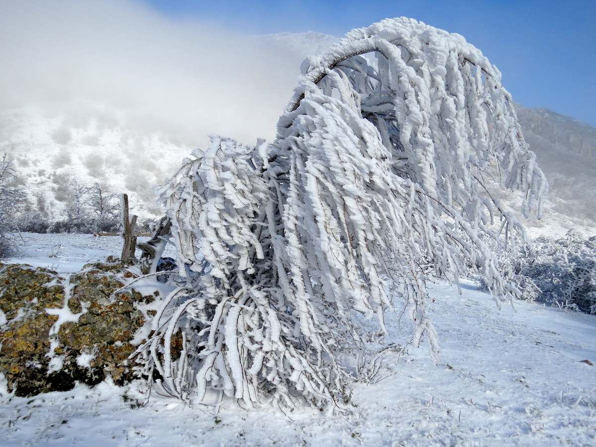 Листайте галерею