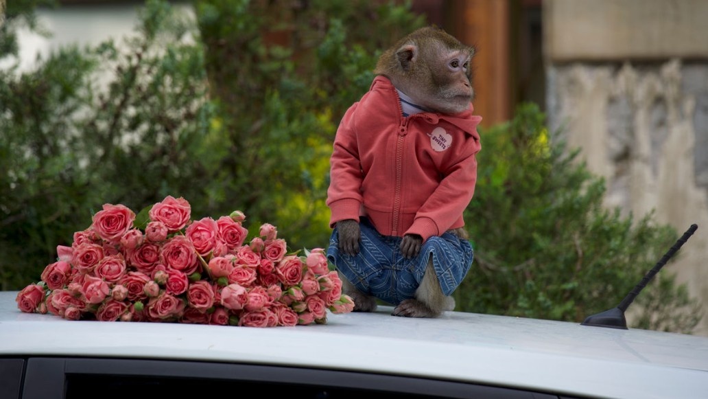 Листайте вправо, чтобы увидеть больше изображений