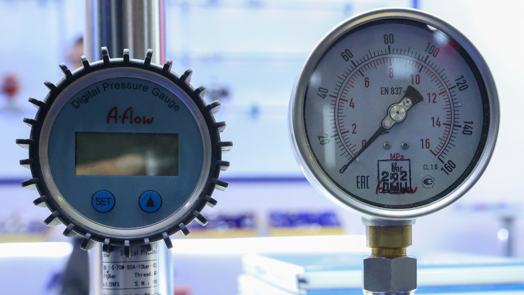    Фото: Petrov Sergey/news.ru/Globallookpress