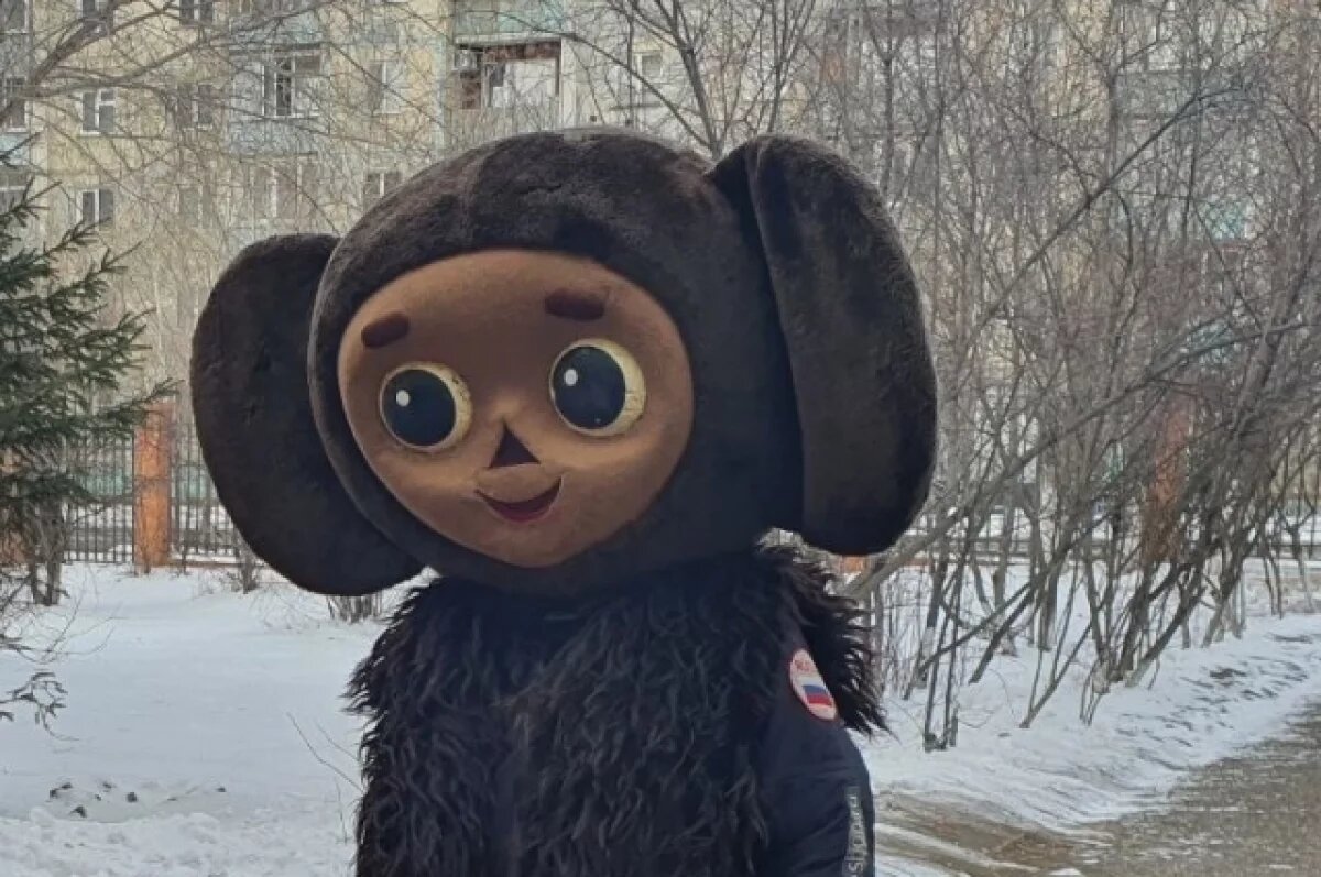    Лежавшего на дороге волжанина с Чебурашкой зацепил в Новый год автомобиль