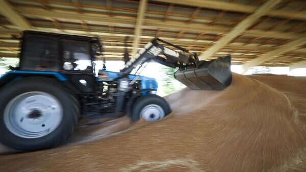    © Sputnik / Виталий Тимкив