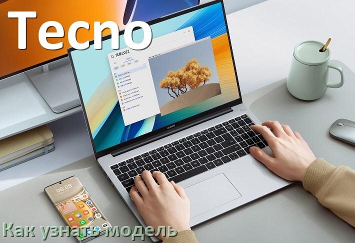 
Как узнать модель ноутбука Tecno по серийному номеру, через командную строку и BIOS/UEFI