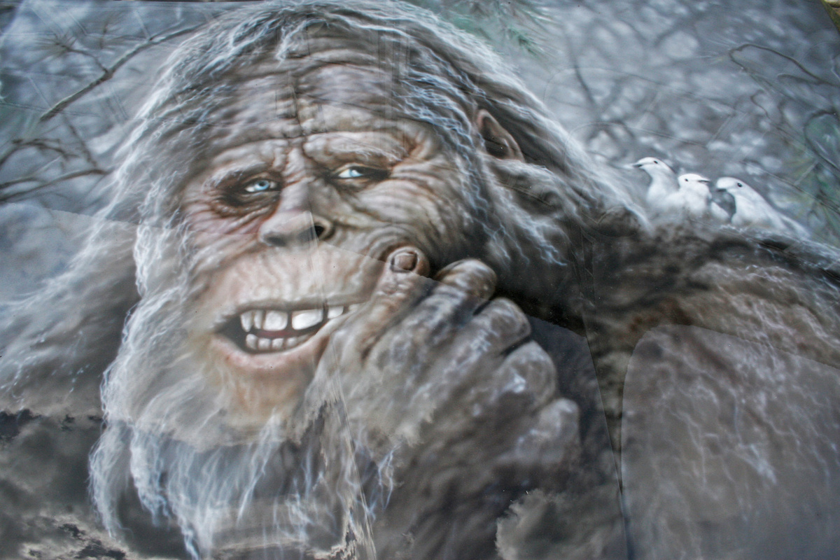 Картинка из интернета