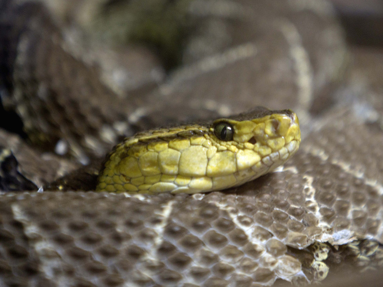 Фото: E]Rafael Ochoa/Xinhua/Global Look Press