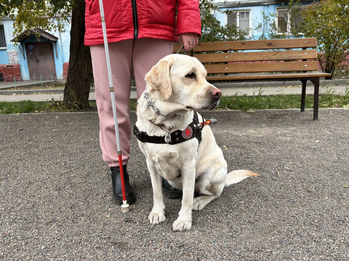    Фото: sibnovosti.ru